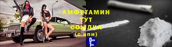стаф Алзамай