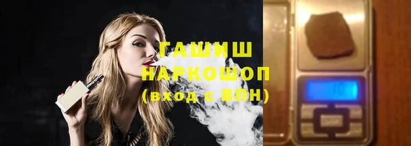 стаф Алзамай