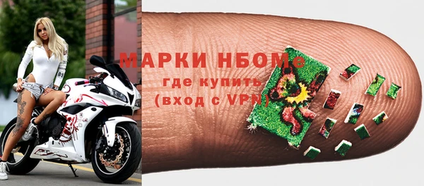стаф Алзамай