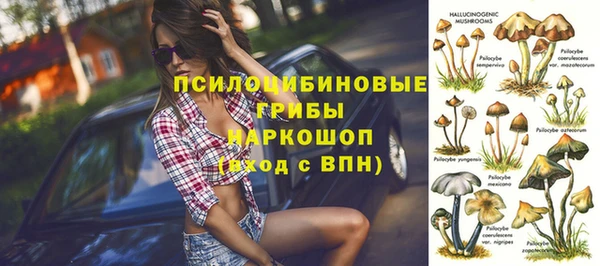 стаф Алзамай