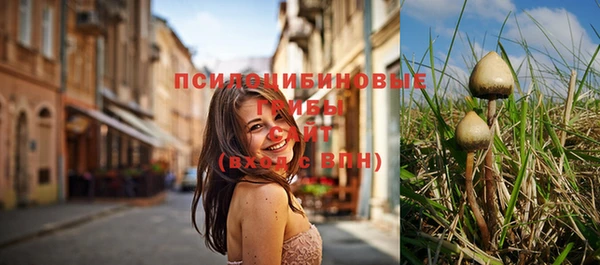 дурь Алексеевка