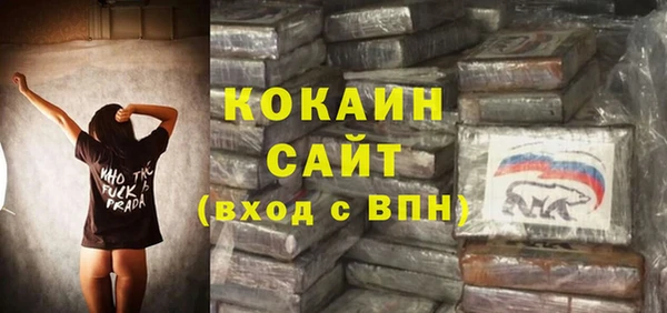 стаф Алзамай