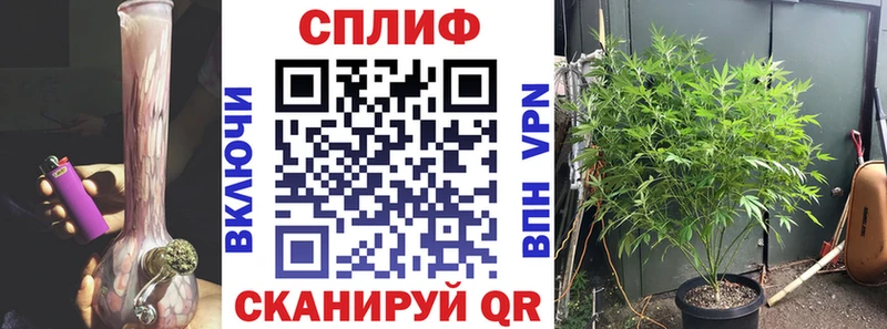 цена наркотик  Нытва  Марихуана конопля 
